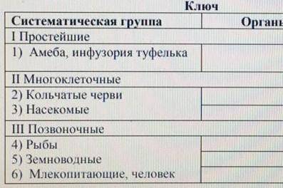 Органы выделения K.104Систематическая группаI Простейшие1) Амеба, инфузория туфелькаП Многоклеточные