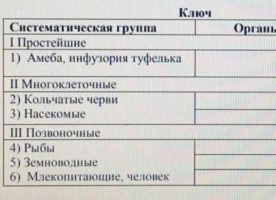 Лекопитающие, человек Органы выделенияКлючСистематическая группаI Простейшие1) Амеба, инфузория туфе