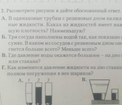 В одинаковые трубки с резиновым дном налили разные жидкости. Какая из жидкостей имеет наибольшую пло