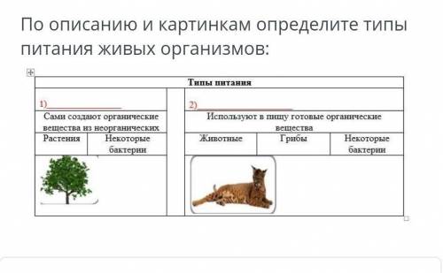 По описанию и картинкам определите типы питания живых организмов: Типы питания2) Используют в пишу г