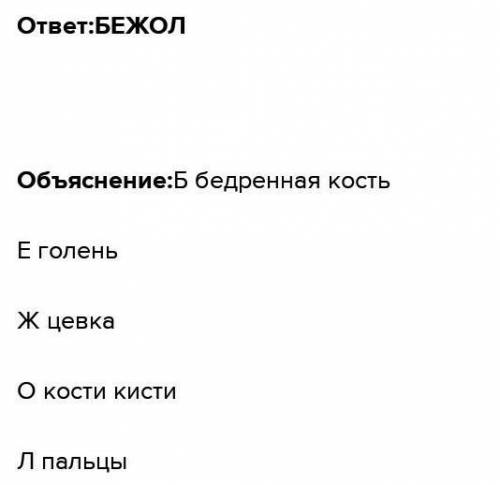 Укажи верную последовательность расположения отделов задней конечности Птицы (начиная от позвоночник