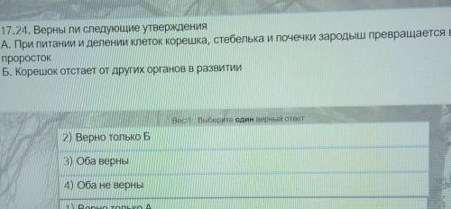 17.24. Верны ли следующие утверждения A. При питании и делении клеток корешка, стебелька и почечки з