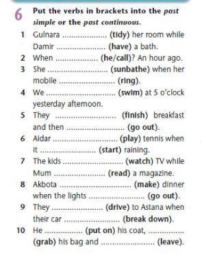 Exercise 6. Put the verbs in brackets into the past simple or the past continuous.​