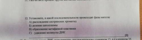 Установите, в какой последовательности происходят фазы митоза?​