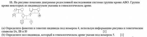 На рисунке показана диаграмма родословной наследования системы группы крови ABO. Группа крови некото