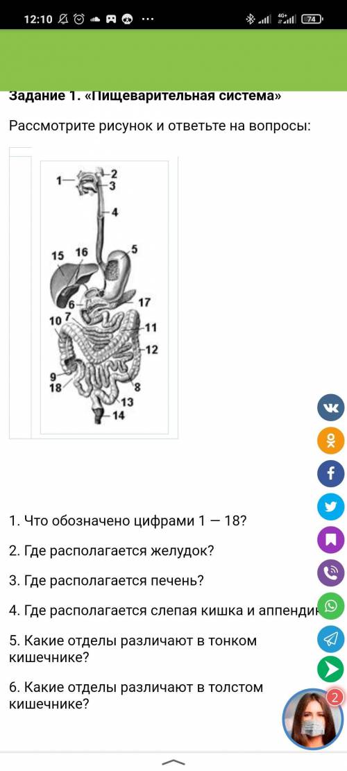 Рассмотрите рисунок и ответьте на вопросы: 1. Что обозначено цифрами 1 — 18? 2. Где располагается же