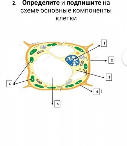 Дам подписку и лучший ответ только паже​