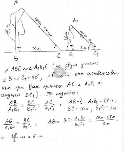 Реши задачу Длина тени дерева равна 6 м, а длина тени человека рост которого 1,8 мравна 3 м. Найди в