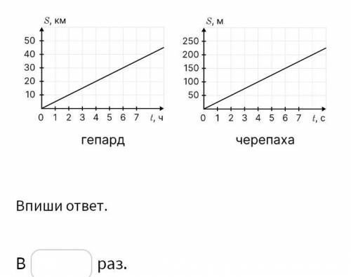 Во сколько раз гепард быстрее черепахи? Определи это по графикам зависимости пути от времени.