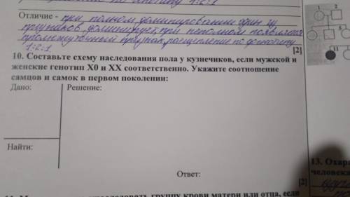 решить задачи по биологии по СОЧу