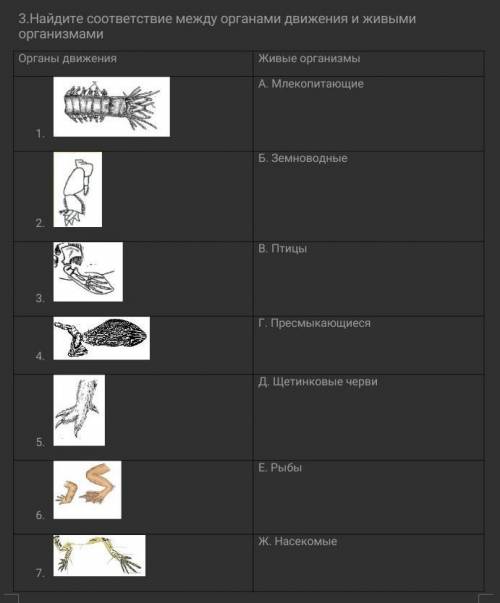 3.Найдите соответствие между органами движения и живыми организмами Органы движенияЖивые организмыА.