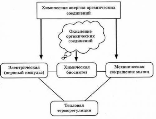 Составьте схему превращения энергии: ​