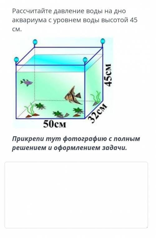 Рассчитайте давление воды на дно аквариума с уровнем воды высотой 45 см.​