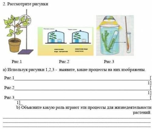 Используя рисунки 1,2,3 -  выявите, какие процессы на них изображены.​