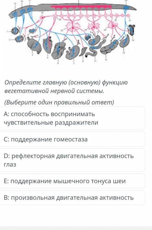 сор●~●только правильные ответы​ зайдите мне на ак и с остальным)