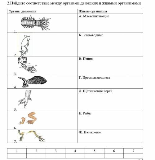 Найдите соответствие между органами движения и живыми организмами Органы движения / Живые организмы