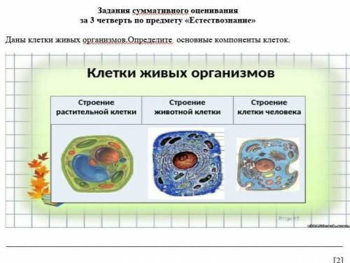 Даны клетки живых организмов. Определите основные компоненты клеток ​