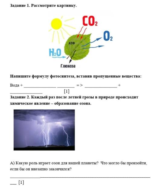 За неправильные ответы буду банить.