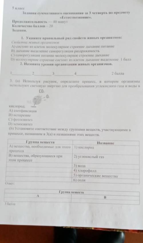 Соч по естеств 5 кл ​