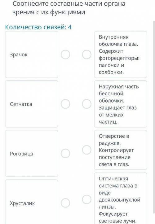 Соотнесите составные части органа зрения с их функциямиКоличество связей: 4ЗрачокВнутренняяоболочка