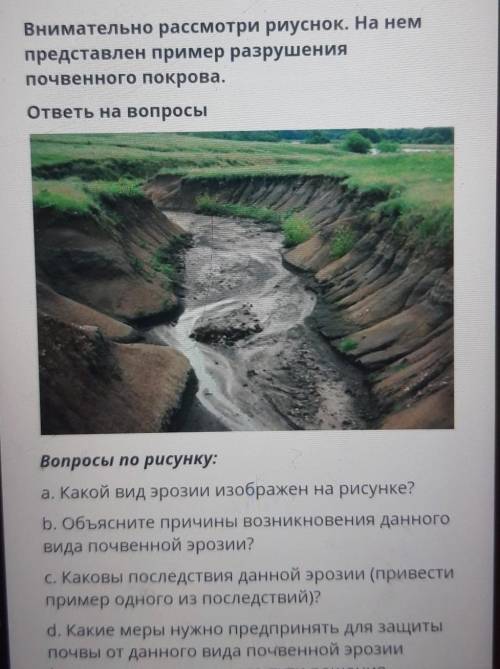 Внимательно рассмотри риуснок. На нем представлен пример разрушенияпочвенного покрова.ответы на вопр