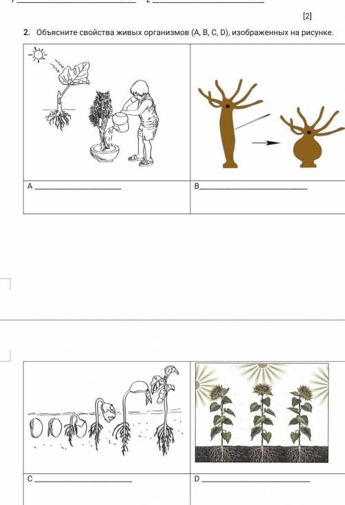 2. Объясните свойство живых организмов(A,B,C,D), изображённых на рисунке. ​