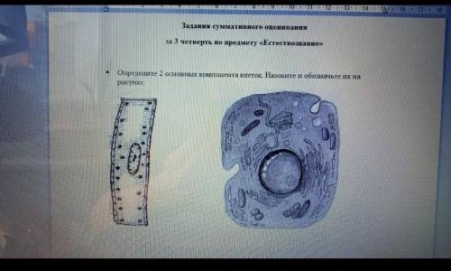 ,желательно обозначить ​