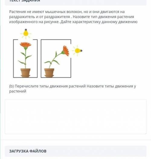 Растения не имеют мышечных волокон, но и они двигаются на раздражитель и от раздражителя. Назовите т