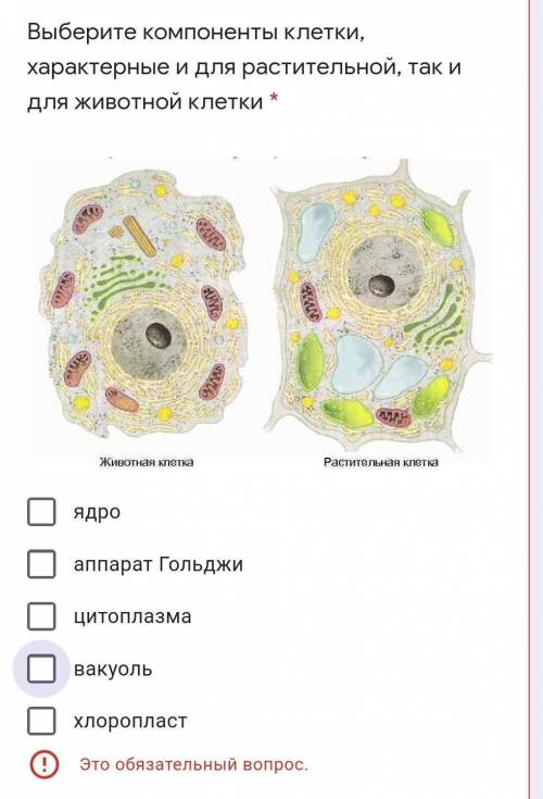 Есть несколько ответов , очень надо​