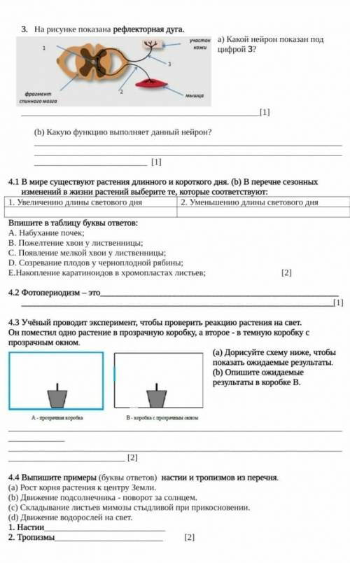 соч по биологии 7 класс 3 четверть ​