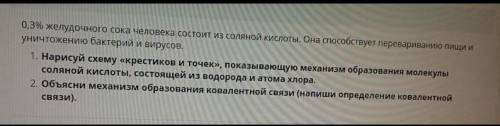 0,3% желудочного сока человека состоит из Она уничтожению и вирусов 1. Нарисуй схему «крестиков и то