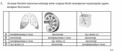 Aғзадан бөлініп шығатын өнімдер және оларды бөліп шығаратын мүшелердің дұрыс қатарын белгілеңіз​