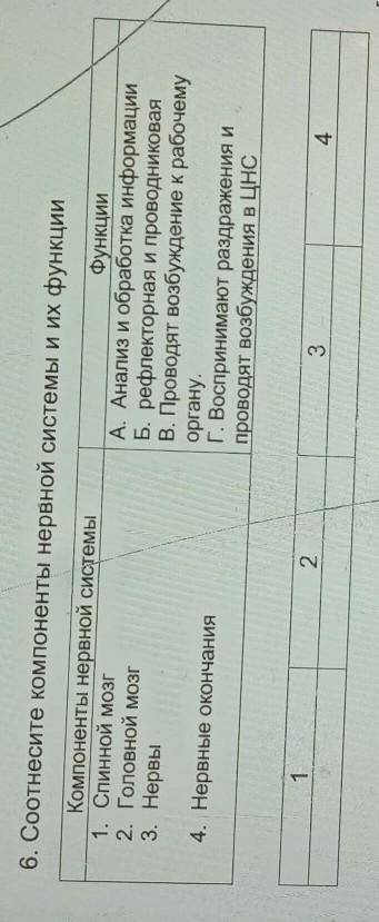 6. Соотнесите компоненты нервной системы и их функции Компоненты нервной системы Функции1. Спинной м