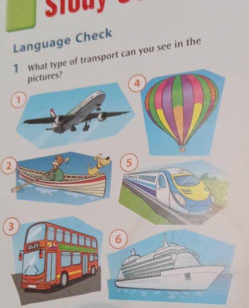 Language Check1 What type of transport can you see in thepictures?​