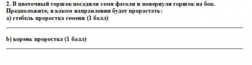 2. В цветочный горшок посадили семя фасоли и повернули горшок на бок. Предположите, в каком направле