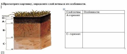 3.Дополните языковую семью. 4.Просмотрите картинку, определите слой почвы и его особенности.Слой поч