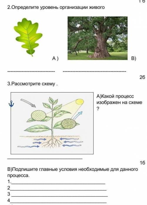 Решите ... . . .. . . . . . ​