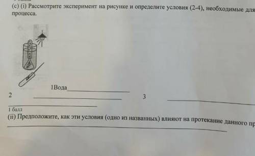 Рассмотрите экспирементов на рисунке определите условия (2-4), необходимые для данного процесса ​