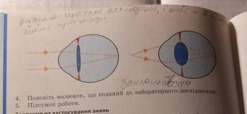 Поясніть малюнок що поданий до лабораторного дослідження пош вас дайте відповідь ​