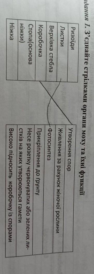 З'єднайте стрілками органи моху та їхні функц .​
