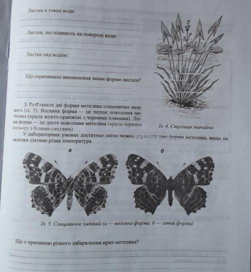 Лабораторна робота біології​