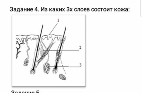 Задание на картинкеСОЧ, ХЕЛП​