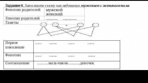 Заполните схему наследования мужского и женского пола Фенотип родителей мужской женский Генотип роди