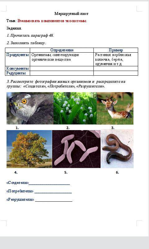 . Рассмотрите фотографии живых организмов и распределите на группы: «Создатели», «Потребители», «Раз