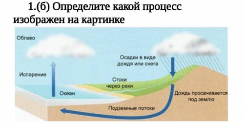 1.(б) Определите какой процесс изображен на картинке​