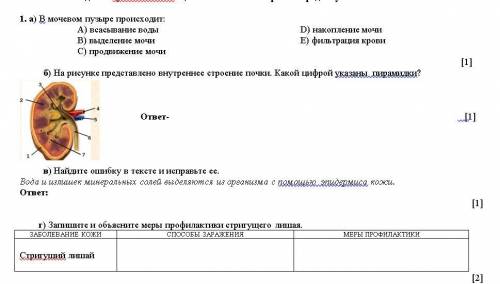 1. а) В мочевом пузыре происходит: А) всасывание воды В) выделение мочи С) продвижение мочи D) накоп