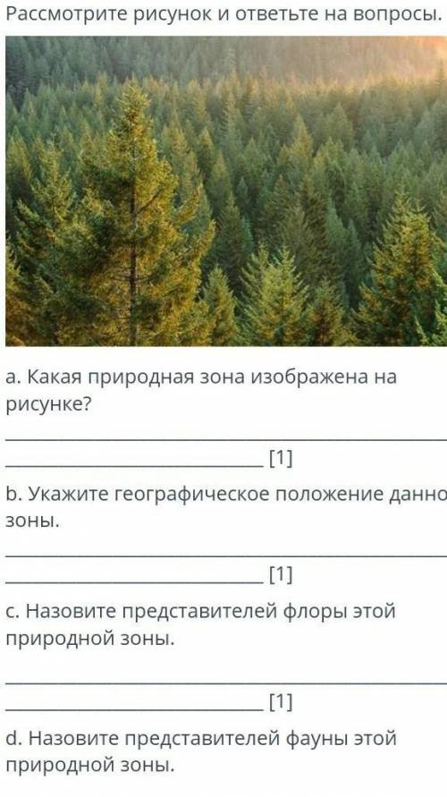 Рассмотрите рисунок и ответьте на вопросы. a. Какая природная зона изображена на рисунке? [1] b. Ук