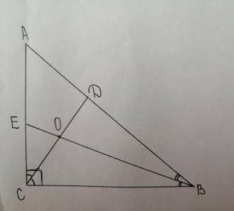 CD, BE - биссектрисы. ∠ACB=90°, ∠COB=105°. Найдите ∠DCB-? . CD, BE - биссектрисы. ∠ACB=90°, ∠COB=105