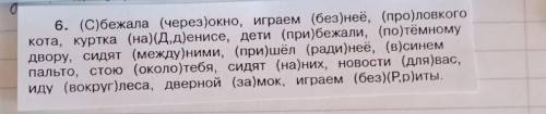 6. (с)бежала (через)окно, играем (без)неё, (про) ловкого кота, куртка (на)(Д,д)енисе, дети (прибежал