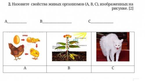 Назовите свойства живых организмов (А, В, С), изображенных на рисунке. ​